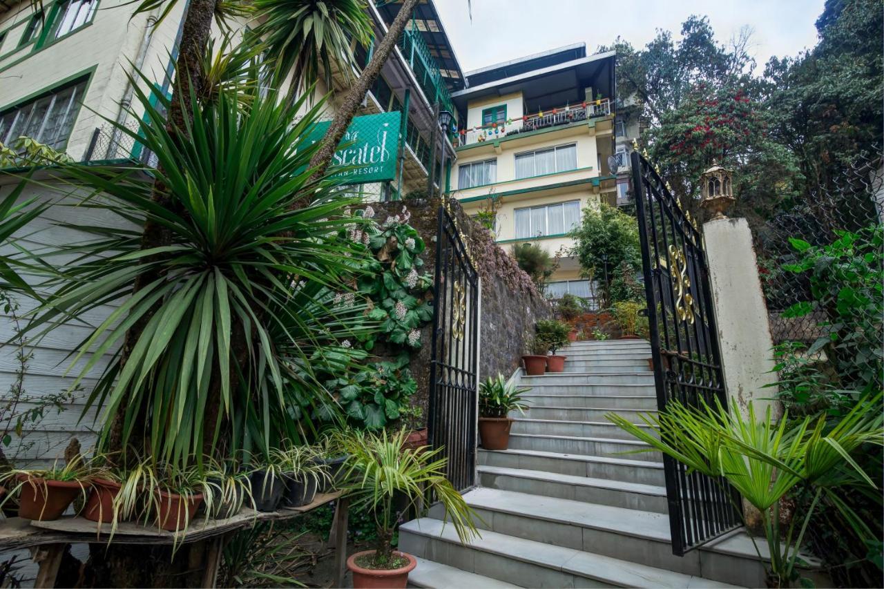 Muscatel Himalayan Resort - 400 Mts From Mall Road Darjeeling  Luaran gambar